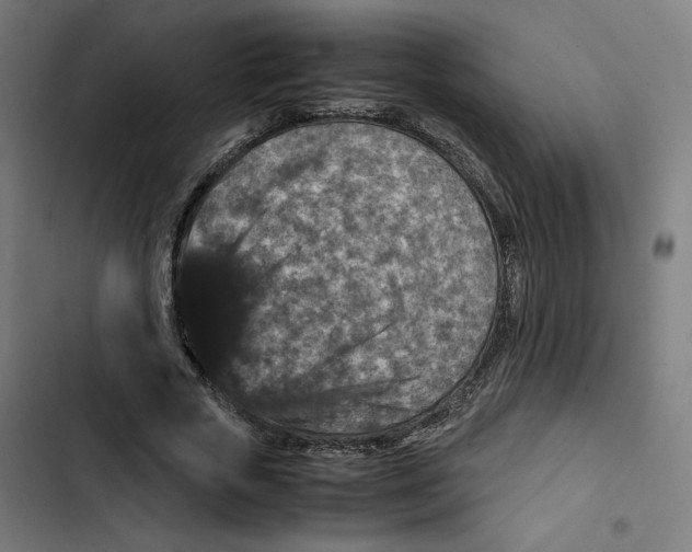 X0000102510729200809051409
