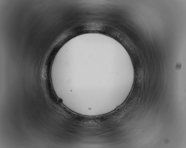 X0000102510731200809051409