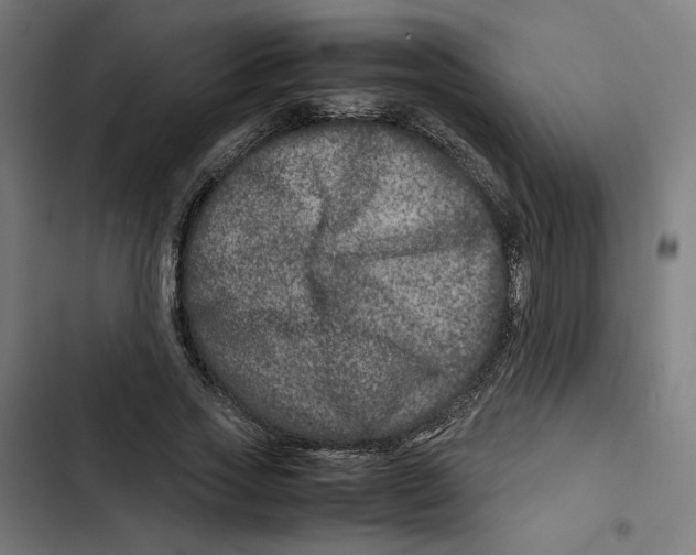X0000102510733200809051409