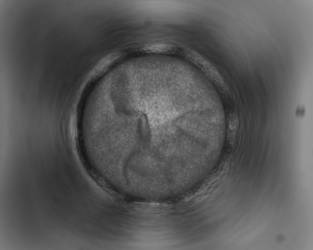 X0000102510734200809051409