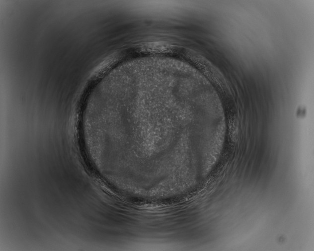 X0000102510735200809051410