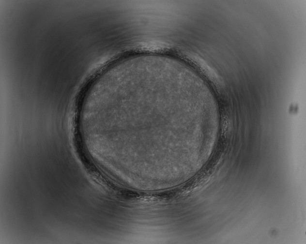 X0000102510736200809051410