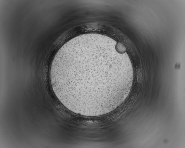 X0000102510737200809051410