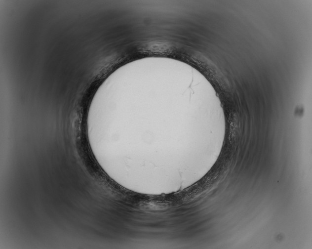 X0000102510739200809051410