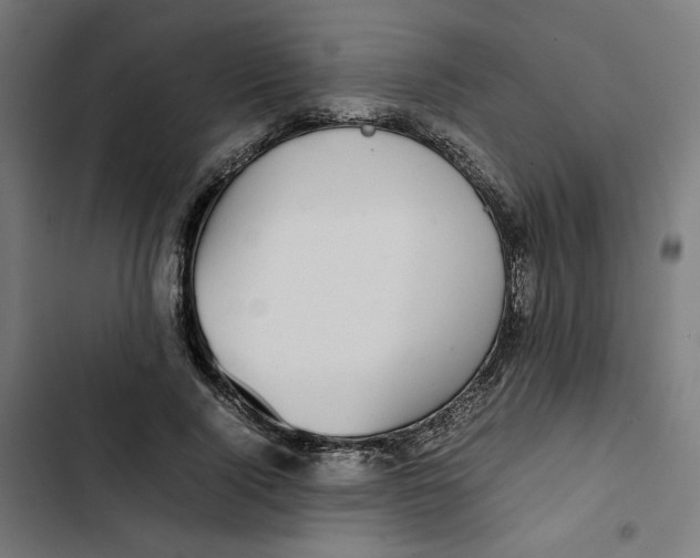 X0000102510740200809051410