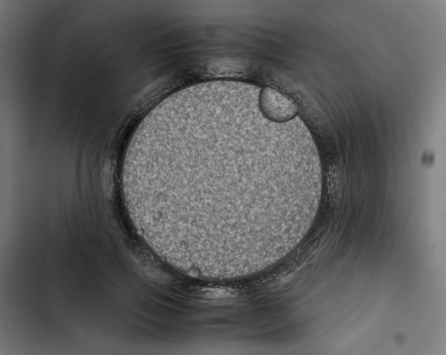 X0000102510741200809051410