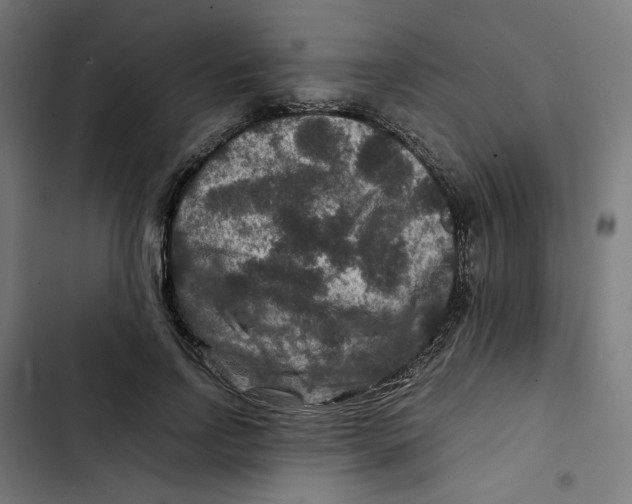 X0000102510742200809051410