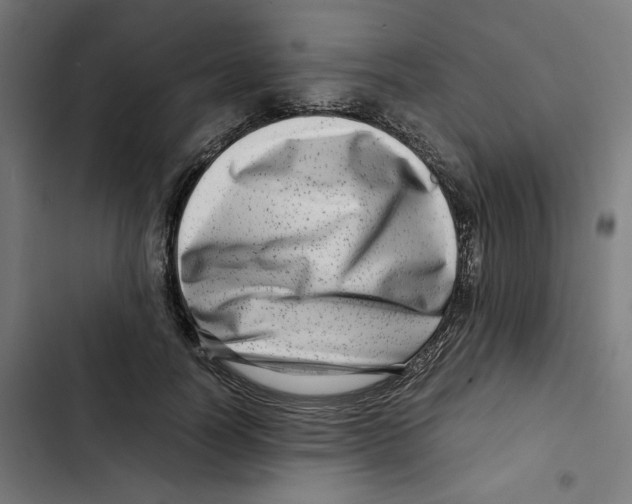 X0000102510746200809051410