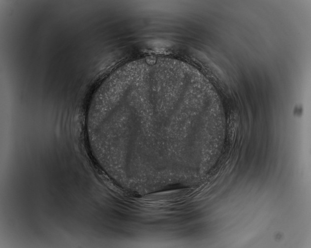 X0000102510747200809051410