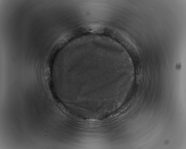 X0000102510748200809051410