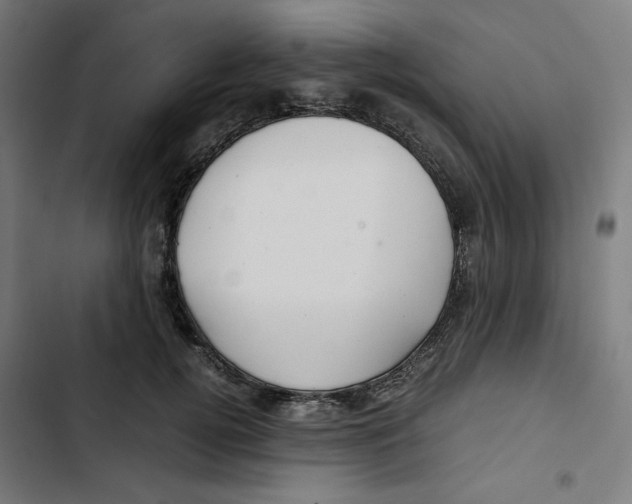 X0000102510752200809051410