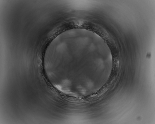 X0000102510754200809051410