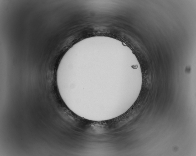 X0000102510756200809051410