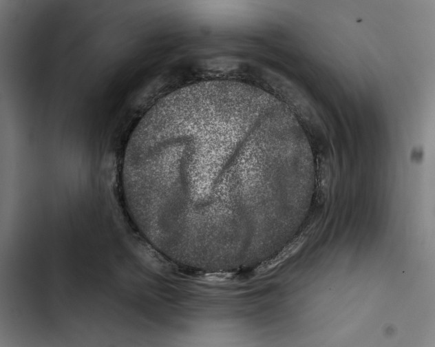 X0000102510758200809051410