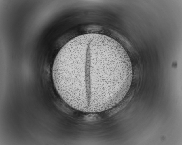X0000102510761200809051410