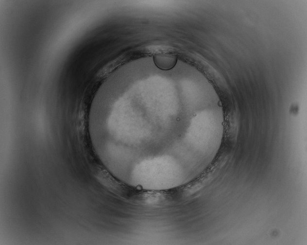 X0000102510762200809051410