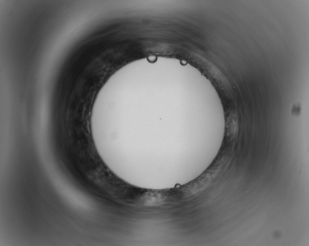 X0000102510764200809051410