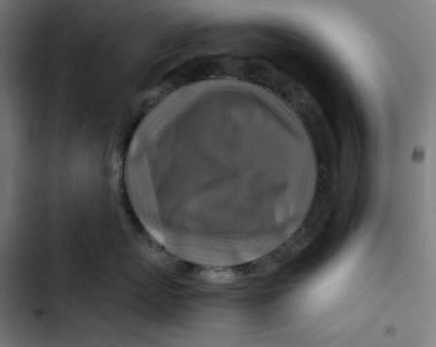 X0000102510767200809051410