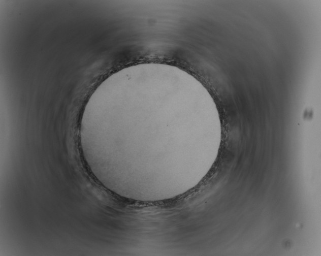 X0000102510769200809051409