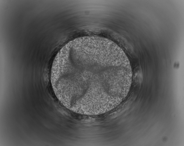 X0000102510772200809051409