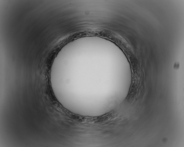 X0000102510773200809051409