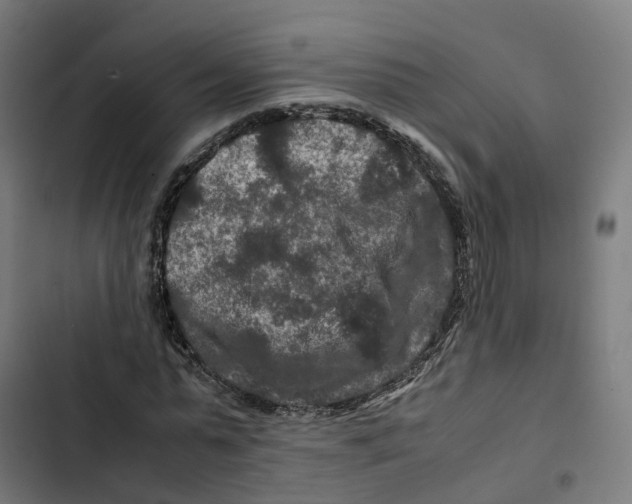 X0000102510775200809051409
