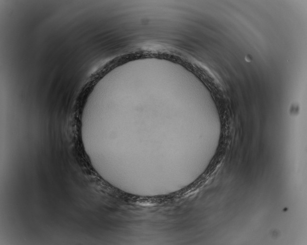 X0000102510776200809051409