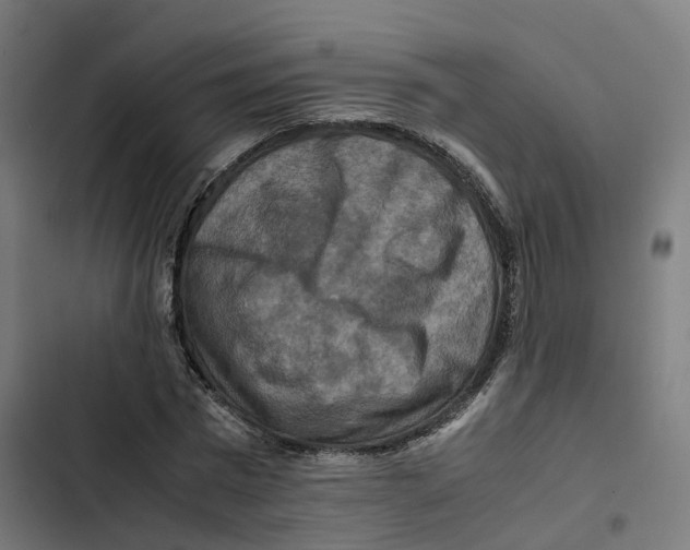 X0000102510777200809051409