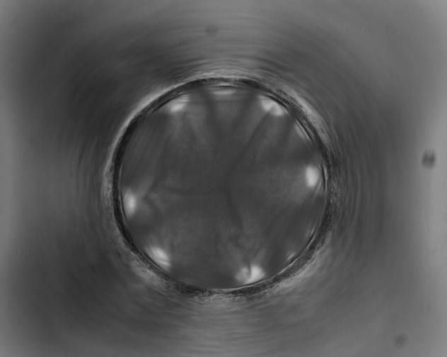 X0000102510779200809051409