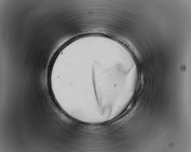 X0000102510780200809051409