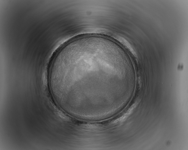 X0000102510781200809051409