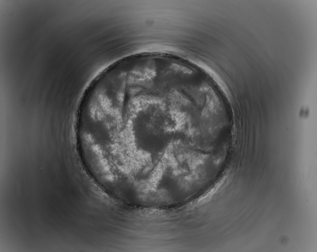 X0000102510783200809051409