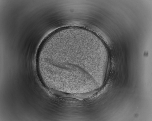 X0000102510784200809051409