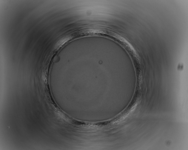 X0000102510785200809051409