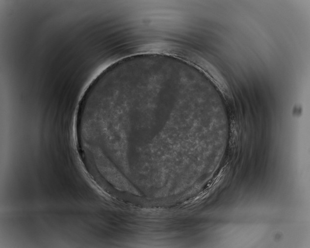 X0000102510788200809051409
