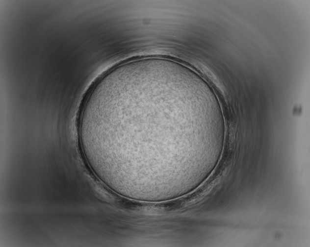 X0000102510789200809051409