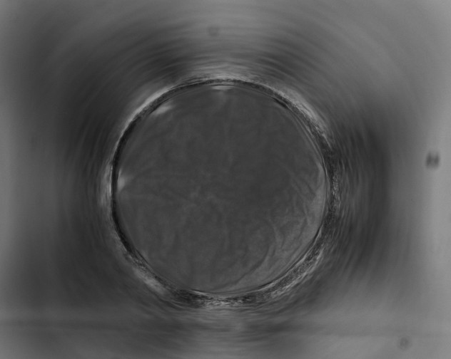 X0000102510790200809051409