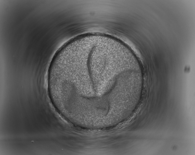 X0000102510791200809051409