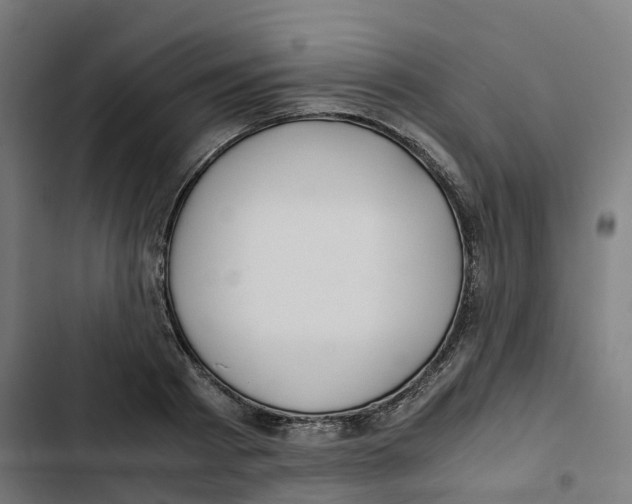 X0000102510793200809051409