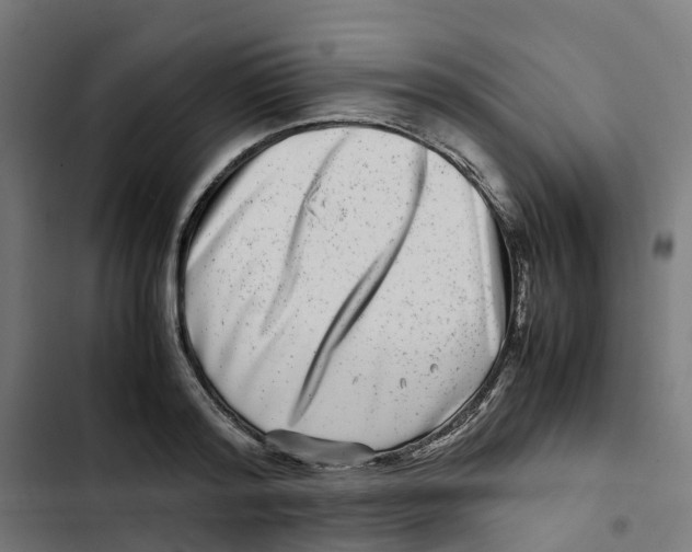 X0000102510796200809051409