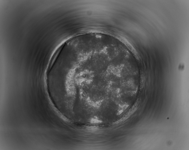 X0000102510798200809051409
