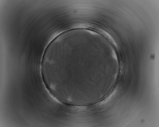X0000102510802200809051409
