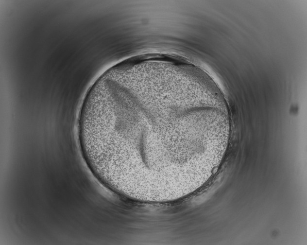 X0000102510803200809051409