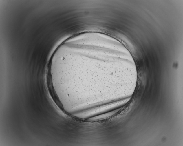 X0000102510804200809051409