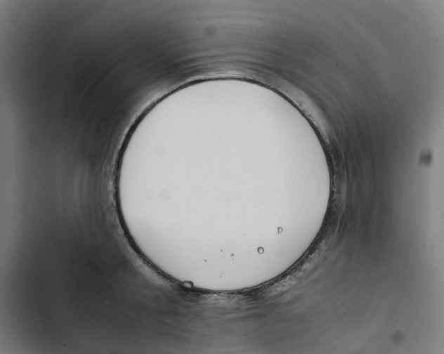 X0000102510805200809051409