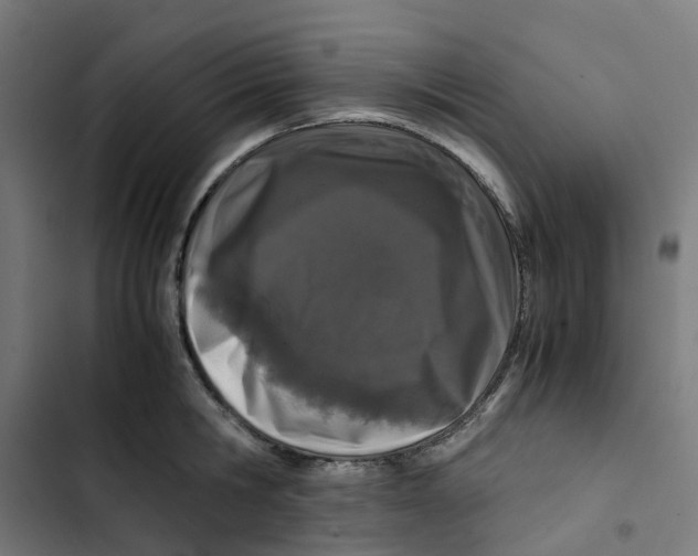 X0000102510806200809051409