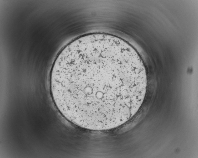 X0000102510807200809051409