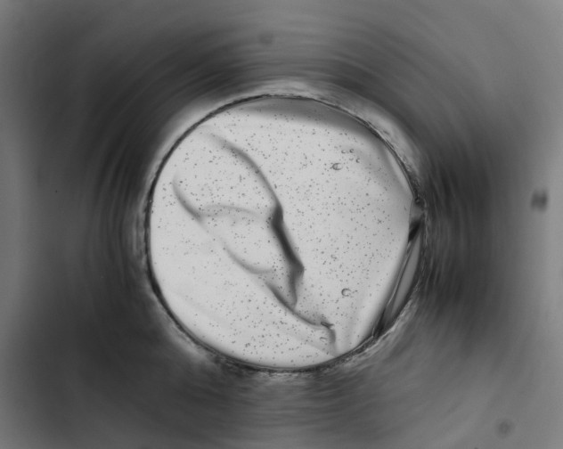 X0000102510808200809051409