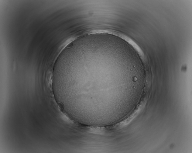 X0000102510809200809051409