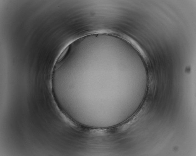 X0000102510810200809051409